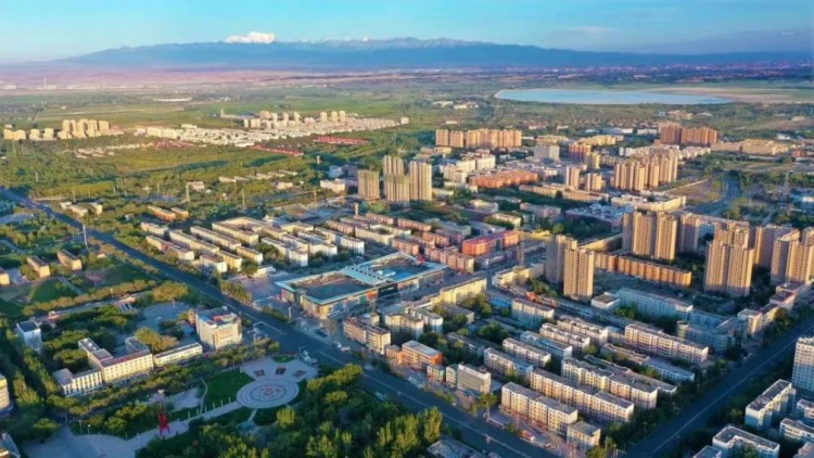 图片10