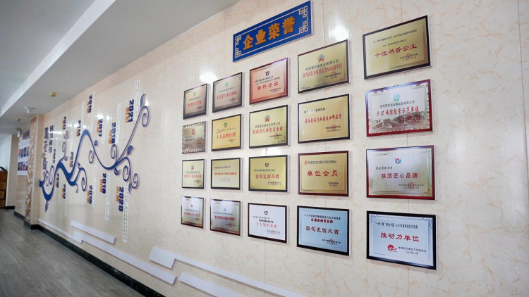 图片31